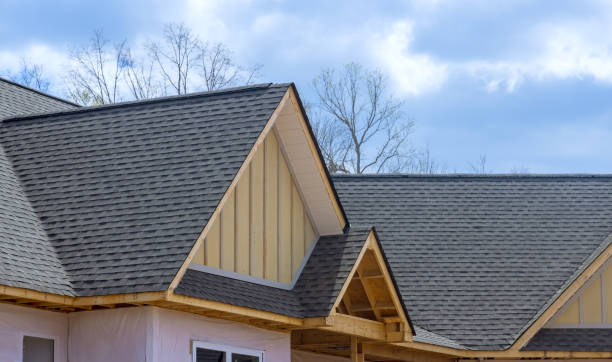 Best Roof Insulation Installation  in Manito, IL